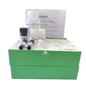 蘋(píng)果酸合酶(MS)測(cè)試盒/分光光度法主圖